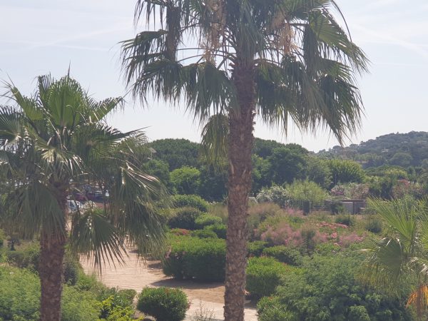 Location bel appartement 2 pièces rés. piscine et accès direct plage – Image 17